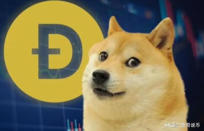 狗狗幣今日行情概覽，最新價格走勢分析