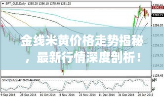 金線米黃價(jià)格走勢(shì)揭秘，最新行情深度剖析！
