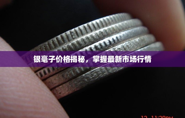 銀毫子價(jià)格揭秘，掌握最新市場(chǎng)行情