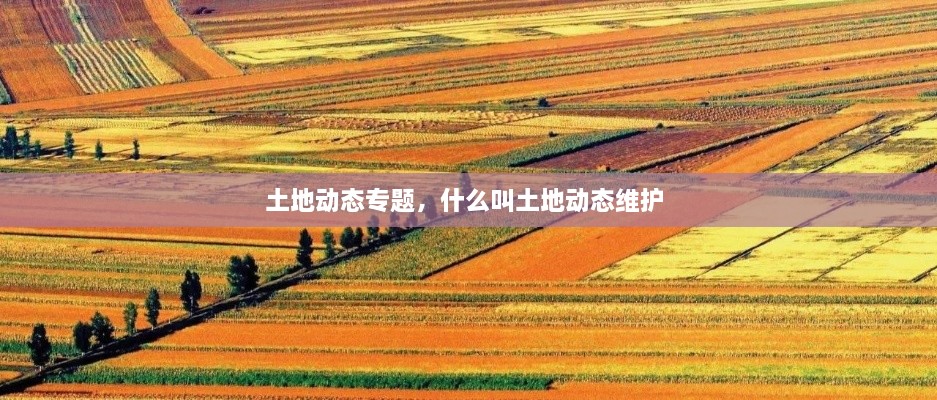 土地動(dòng)態(tài)專題，什么叫土地動(dòng)態(tài)維護(hù) 