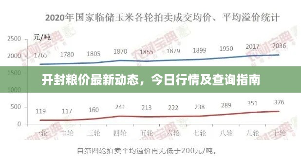 開封糧價最新動態(tài)，今日行情及查詢指南