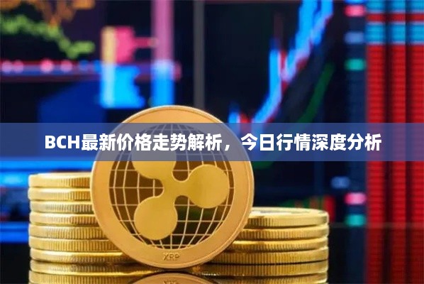 BCH最新價(jià)格走勢(shì)解析，今日行情深度分析