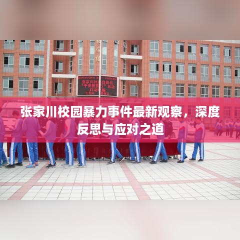 張家川校園暴力事件最新觀察，深度反思與應(yīng)對(duì)之道