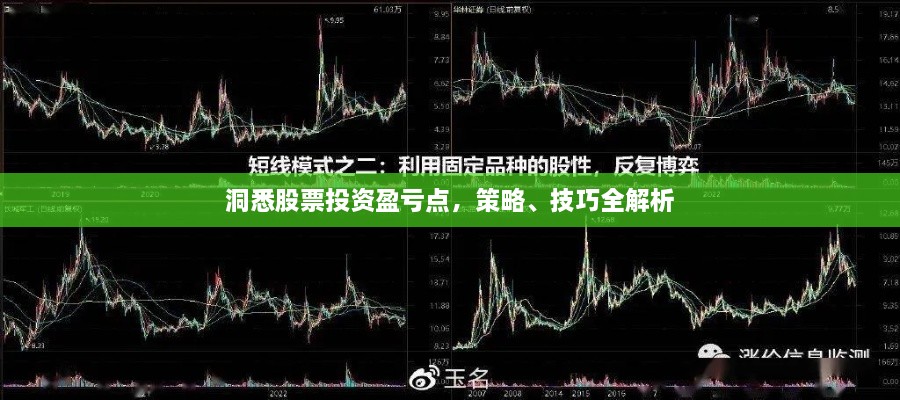 洞悉股票投資盈虧點(diǎn)，策略、技巧全解析