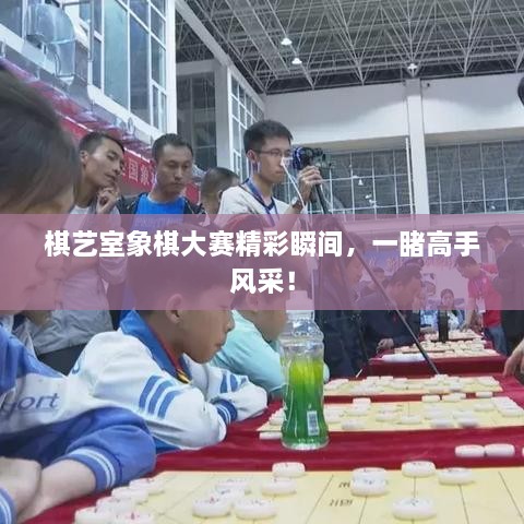 棋藝室象棋大賽精彩瞬間，一睹高手風(fēng)采！