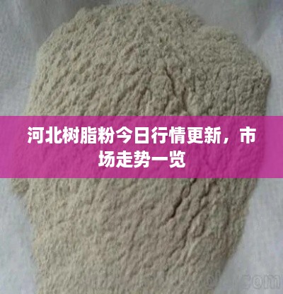 河北樹脂粉今日行情更新，市場走勢一覽