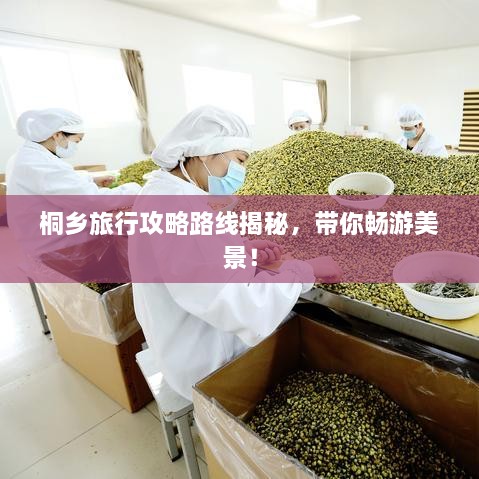 慘淡經(jīng)營 第2頁