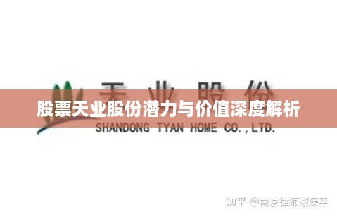 股票天業(yè)股份潛力與價(jià)值深度解析