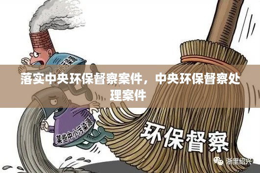 落實(shí)中央環(huán)保督察案件，中央環(huán)保督察處理案件 