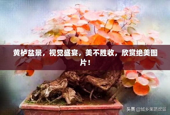 草長鶯飛 第2頁