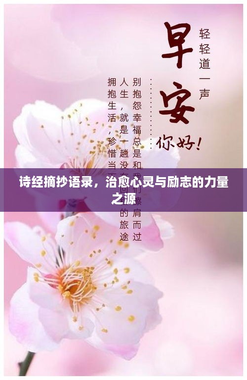詩經(jīng)摘抄語錄，治愈心靈與勵志的力量之源