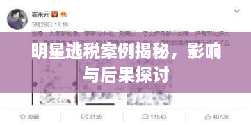明星逃稅案例揭秘，影響與后果探討