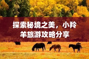 探索秘境之美，小羚羊旅游攻略分享