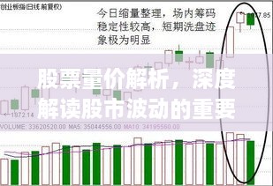 股票量價(jià)解析，深度解讀股市波動的重要指標(biāo)！