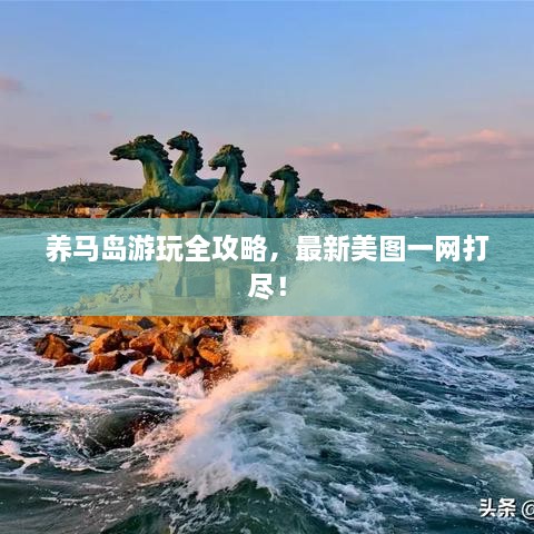 養(yǎng)馬島游玩全攻略，最新美圖一網(wǎng)打盡！