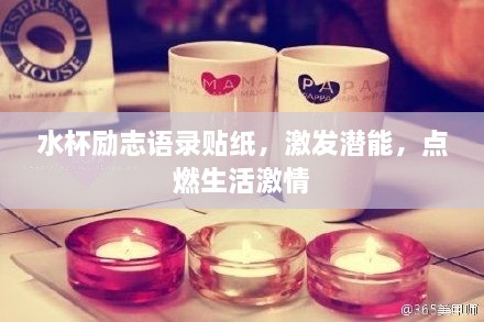 水杯勵志語錄貼紙，激發(fā)潛能，點燃生活激情