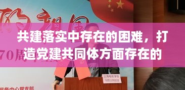 共建落實(shí)中存在的困難，打造黨建共同體方面存在的問(wèn)題 