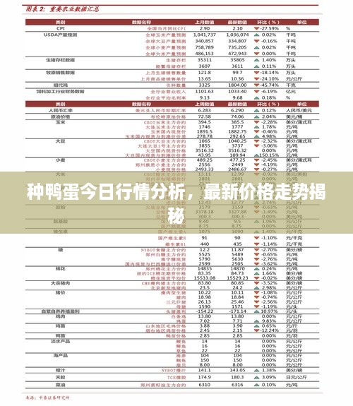 種鴨蛋今日行情分析，最新價格走勢揭秘