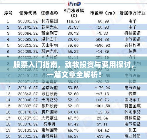 股票入門指南，動牧投資與費用探討，一篇文章全解析！