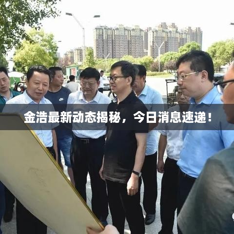 金浩最新動態(tài)揭秘，今日消息速遞！