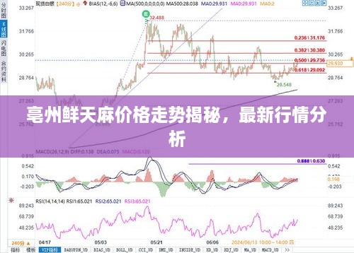 亳州鮮天麻價(jià)格走勢(shì)揭秘，最新行情分析