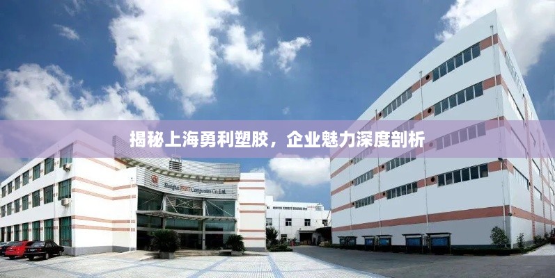 揭秘上海勇利塑膠，企業(yè)魅力深度剖析