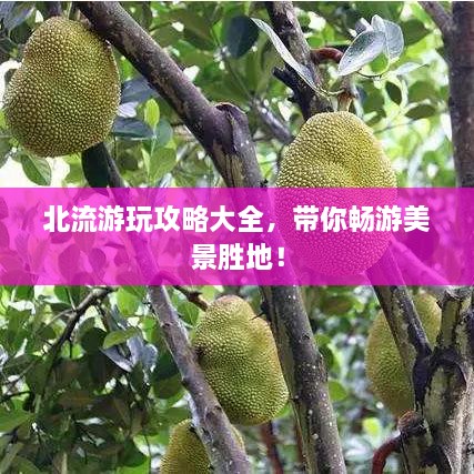 北流游玩攻略大全，帶你暢游美景勝地！