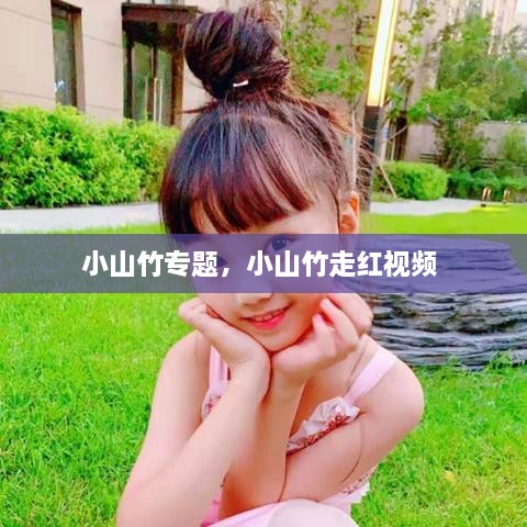 小山竹專題，小山竹走紅視頻 