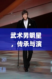 武術(shù)男明星，傳承與演繹的魅力展現(xiàn)