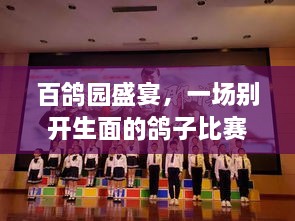 百鴿園盛宴，一場別開生面的鴿子比賽盛宴！