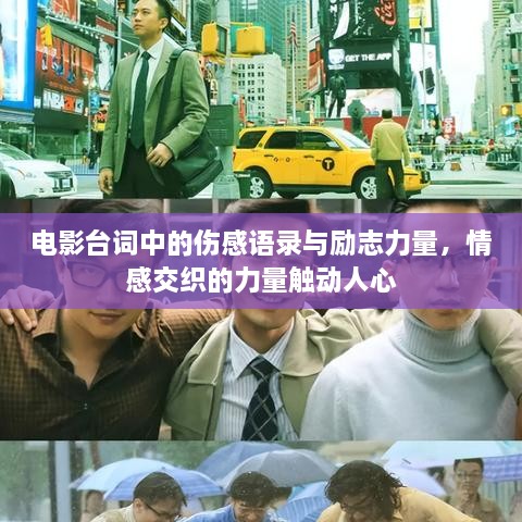 2025年2月16日 第8頁(yè)