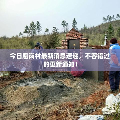 今日凰崗村最新消息速遞，不容錯過的更新通知！