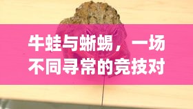 牛蛙與蜥蜴，一場(chǎng)不同尋常的競(jìng)技對(duì)決