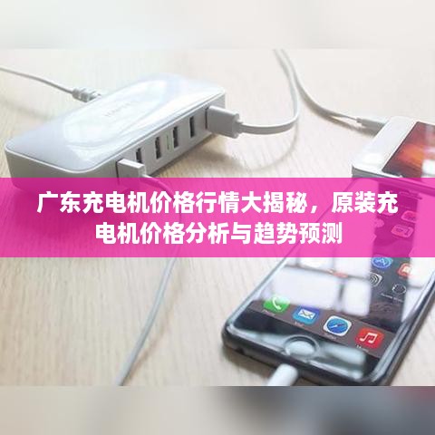 廣東充電機價格行情大揭秘，原裝充電機價格分析與趨勢預測