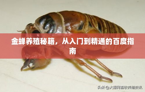 2025年2月 第71頁