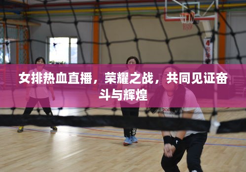 女排熱血直播，榮耀之戰(zhàn)，共同見證奮斗與輝煌