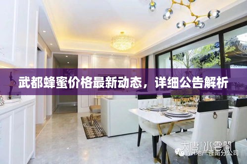 武都蜂蜜價(jià)格最新動(dòng)態(tài)，詳細(xì)公告解析