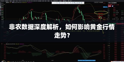 非農(nóng)數(shù)據(jù)深度解析，如何影響黃金行情走勢(shì)？