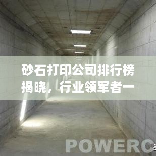 砂石打印公司排行榜揭曉，行業(yè)領(lǐng)軍者一覽