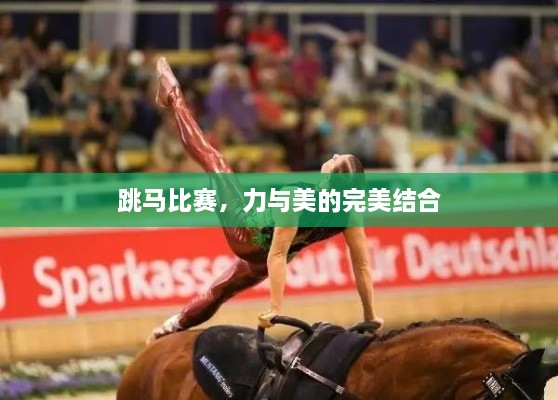 跳馬比賽，力與美的完美結(jié)合