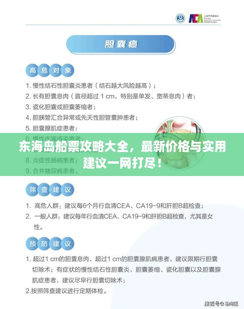 東海島船票攻略大全，最新價(jià)格與實(shí)用建議一網(wǎng)打盡！