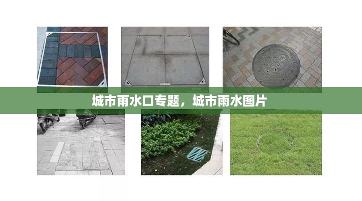 城市雨水口專題，城市雨水圖片 