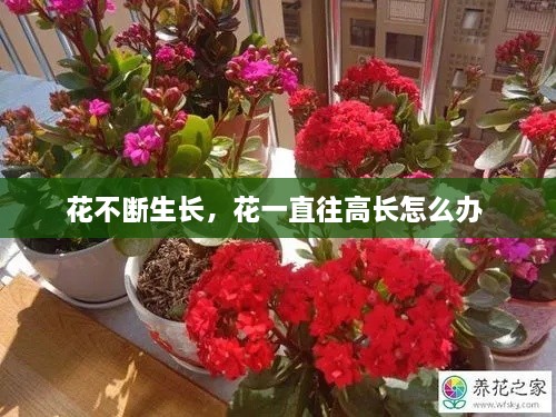 第40頁(yè)