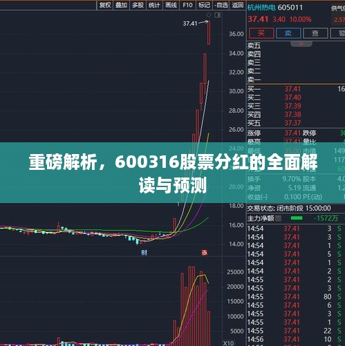 重磅解析，600316股票分紅的全面解讀與預測