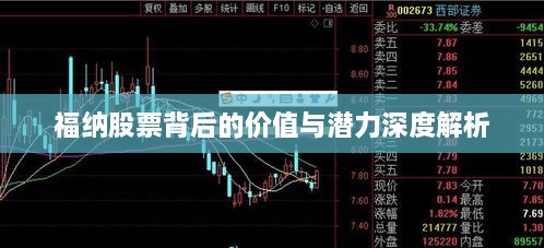 福納股票背后的價值與潛力深度解析
