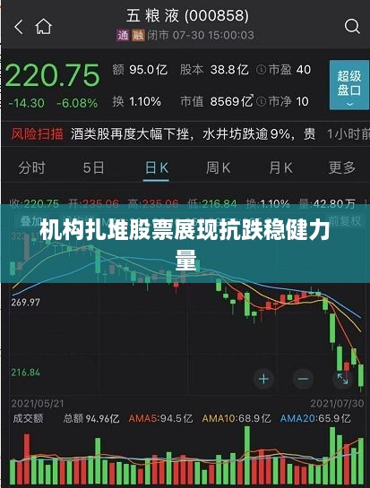 機構(gòu)扎堆股票展現(xiàn)抗跌穩(wěn)健力量