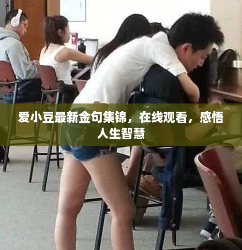 愛小豆最新金句集錦，在線觀看，感悟人生智慧