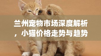 蘭州寵物市場深度解析，小貓價(jià)格走勢與趨勢探尋