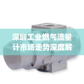 深圳工業(yè)燃氣流量計市場走勢深度解析