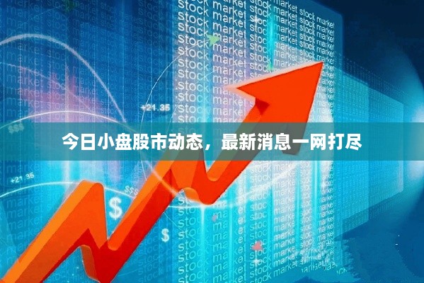 今日小盤(pán)股市動(dòng)態(tài)，最新消息一網(wǎng)打盡